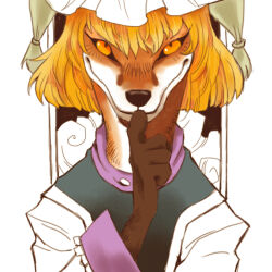 yakumo ran from touhou by onikobe rin