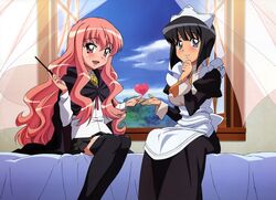 louise francoise le blanc de la valliere from zero no tsukaima