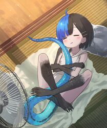 japanese skink (kamemaru) from original by kamemaru