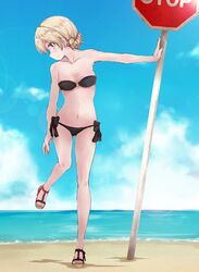 darjeeling from girls und panzer by yumesato makura