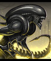 xenomorph from alien (movie) by gia