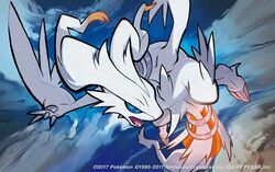 reshiram from pokemon by tokiya