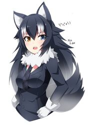 grey wolf (kemono friends) from kemono friends by sakuragi raia