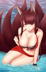 akagi (azur lane) from azur lane by vanquice