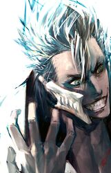 grimmjow jaegerjaquez from bleach