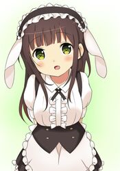 ujimatsu chiya from gochuumon wa usagi desu ka? by yukihalbert