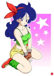 lunch (dragon ball) from dragon ball by chris re5