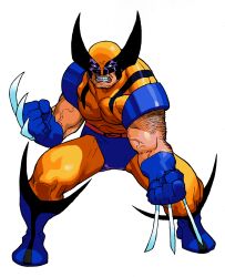 wolverine (x-men) from marvel vs. capcom by bengus