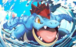 feraligatr from pokemon