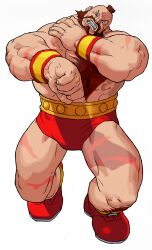 zangief from marvel vs. capcom by bengus