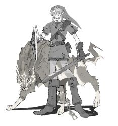 link from the legend of zelda