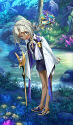 fate/grand order fan art