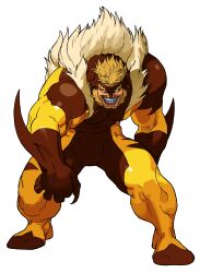 sabertooth (x-men) from marvel by bengus