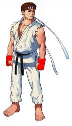 ryu (street fighter) from marvel vs. capcom by bengus