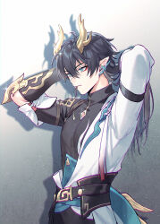 dan heng (honkai: star rail) from honkai: star rail by kangetsu (fhalei)