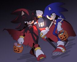 shadow the hedgehog from halloween