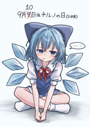 cirno from touhou