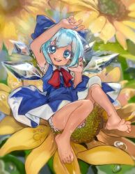 cirno from touhou by girutea