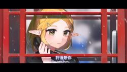 princess zelda from the legend of zelda by yumiyumo3o