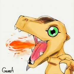 agumon from digimon