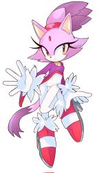 blaze the cat from sonic (series)