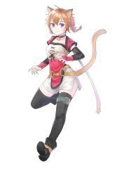 lyre (fire emblem) from fire emblem