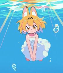 serval (kemono friends) from kemono friends