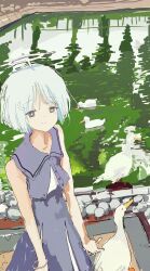 Booru post from safebooru.org