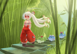 ex-keine from touhou