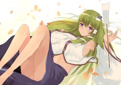 kochiya sanae from touhou