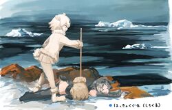 polar bear (kemono friends) from kemono friends