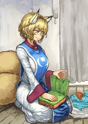 yakumo ran from touhou by chanta (ayatakaoisii)
