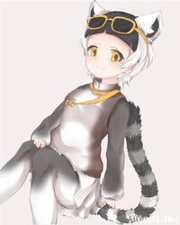 ring-tailed lemur (kemono friends) from kemono friends by tatsuno newo