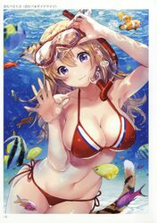 toranoana fan art