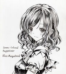 alice margatroid from touhou by kabaji