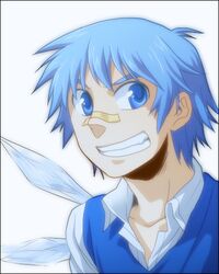 cirno from touhou by rex k
