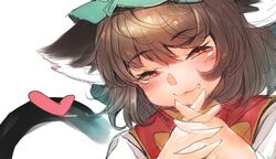 chen from touhou by anchors