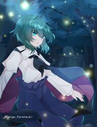 wriggle nightbug from touhou