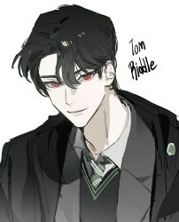 tom marvolo riddle from harry potter (series)