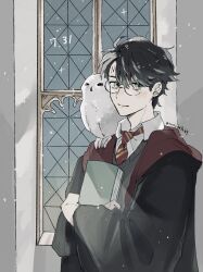 harry potter from harry potter (series)