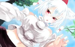 inubashiri momiji from touhou by sinzan