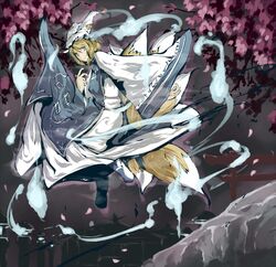 yakumo ran from touhou by ryuu