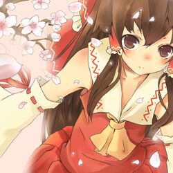 hakurei reimu from touhou by usami