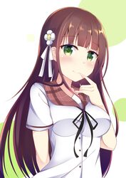 ujimatsu chiya from gochuumon wa usagi desu ka?