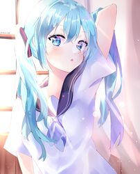 hatsune miku from vocaloid