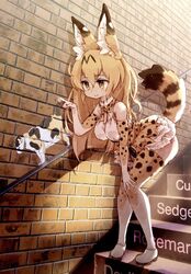 serval (kemono friends) from kemono friends by kolshica