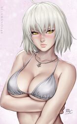 jeanne d'arc (alter) (fate) from fate/apocrypha by sciamano240