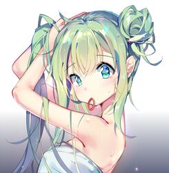 hatsune miku from vocaloid