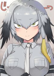 shoebill (kemono friends) from kemono friends by nuko (mikupantu)