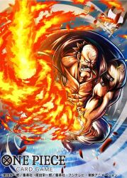 one piece fan art